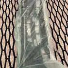 صدام النترا