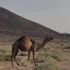 الحقات