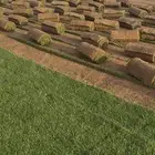 ثيل طبيعي درجة اولى تنسيق حدائق