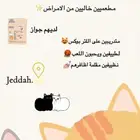 قطط للتبني