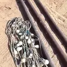 عقد لمبات