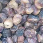 مطلوب تمر علف اي كميه