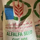 مطلوب باسيفك امريكي وبرسيم حجازي