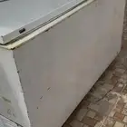 فريزا لي وجه الله