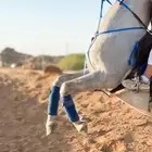 حصان مصري ورق