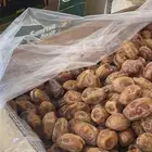 تمر خلاص عضوي