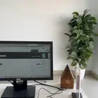 مكتب خدمات للتقبيل بجميع اغراضه