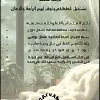 فندقه قطط