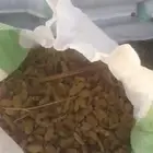 تمر اعلاف 500 خيشه