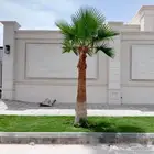 مشتل لأحدث واجود اعمال الزراعه ثيل نخيل أشجار زهور شتلات