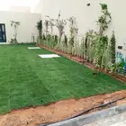 زراعه الاشجار والثيل والنخيل والزيتون. وشبكات الري