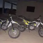 دباب صحراوي للبيع الأصفر 2000