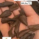 عود مروكي دقة طبيعي