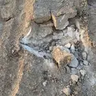 ملح القصب يستخدم لإنشاء الطرق سعر الطن 50 ريال