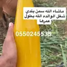 سمن بقر بلدي صافي مضمون ومشروط