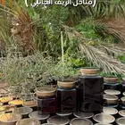 عسل طلح طبيعي انتاج جديد
