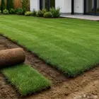 عشب طبيعي   عشب صناعي