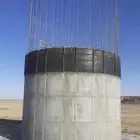 www