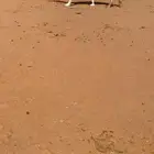 للبيع خفوت كفوو معزوله بنتها