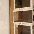 قفص