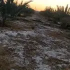مزرعة للاستثمار بسعر مغري جدا قرية الزبائر العيص المد