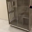 فندقة قطط
