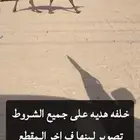 للبيع خلفه