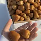 تمر القصيم
