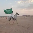 حصان اصفر شعبي للبيع