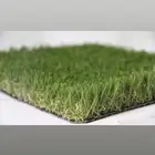 مهندس متخصص فى تصميم وتنسيق الحدائق العامة والخارجية