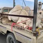 قعدان كفو مبادي ومنسبات شي كفو