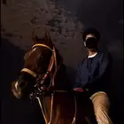 حصان شعبي