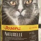 اكل للقطط المعقمة