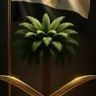 الرياض