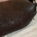سمن اصلي 100