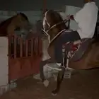 حصان