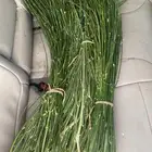 مرخ طازج