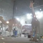 نحت مجسمات بأحجام كبير وفق الطلب فوم  فايبر قلاس حديد