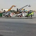 ببكاتات. ورافعات شوكيه