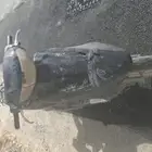 دباب بطه هوندا