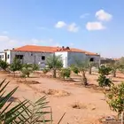تنفيذ اعمال القرميد