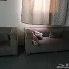 اثاث