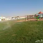ثيل سي الفين علي الشرط