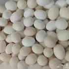 بيض بلدي