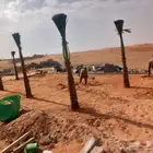 قلع وغرس وتكريب وتحويض وتنظيف النخيل