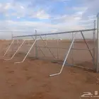 توريد وزراعة نخل الواشنطنياء والنخل العربي والاشجار بانو