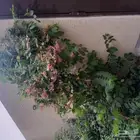 ابومحمد لتنسيق الحدائق