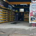 بنشر