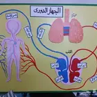 رسام .فنان.مخطط هندسي .رسم فخار.رسم مناظر طبيعيه