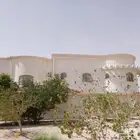 لياسه ملونه بجميع اشكله